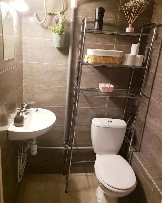 Appartement Cosy Plein Centre Nice Ngoại thất bức ảnh